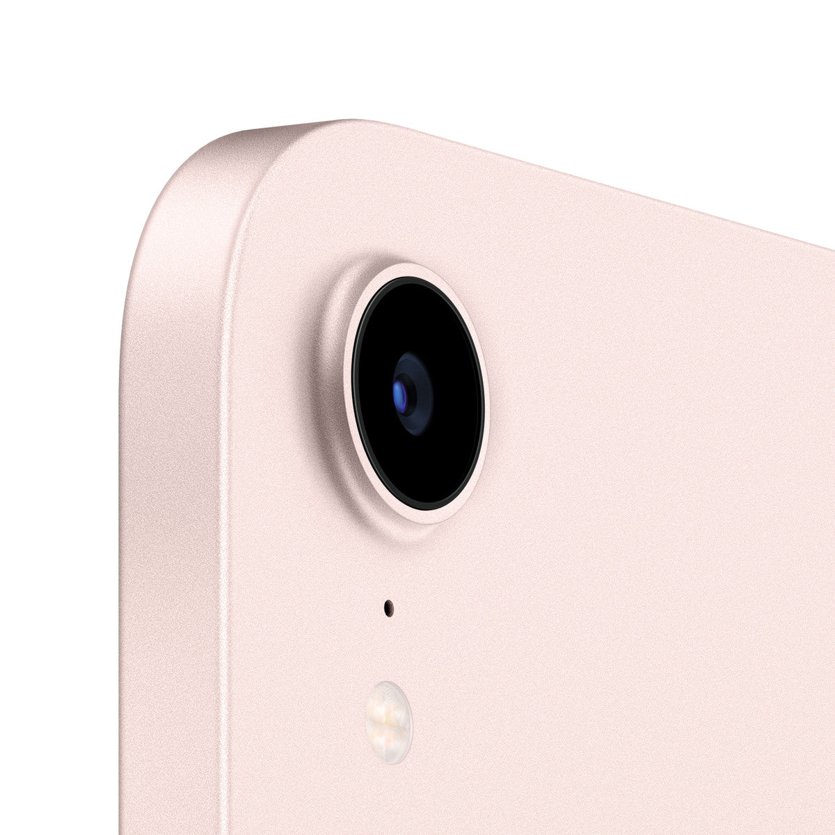 iPad mini Wi-Fi 256GB - Pink