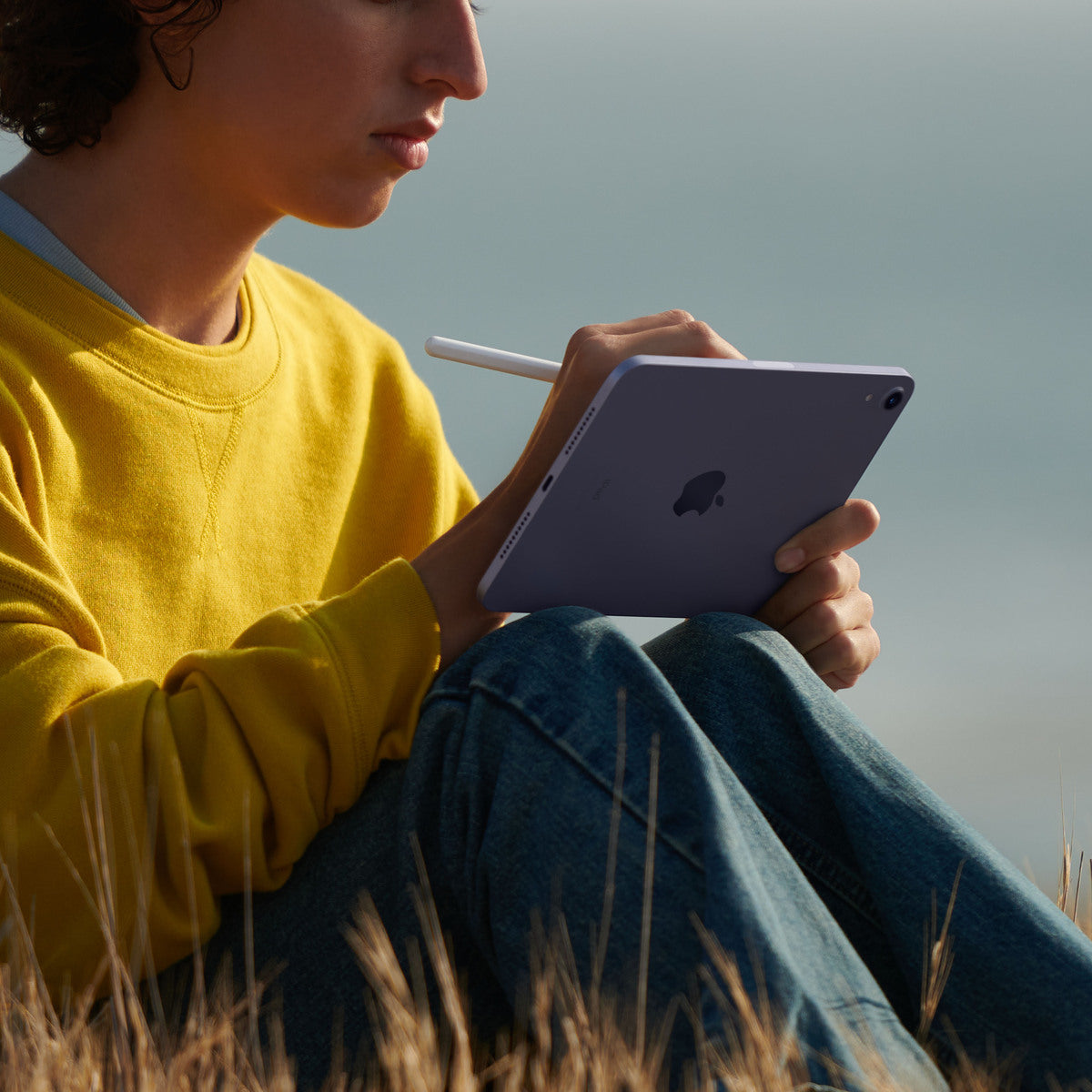 iPad mini Wi-Fi 256GB - Pink