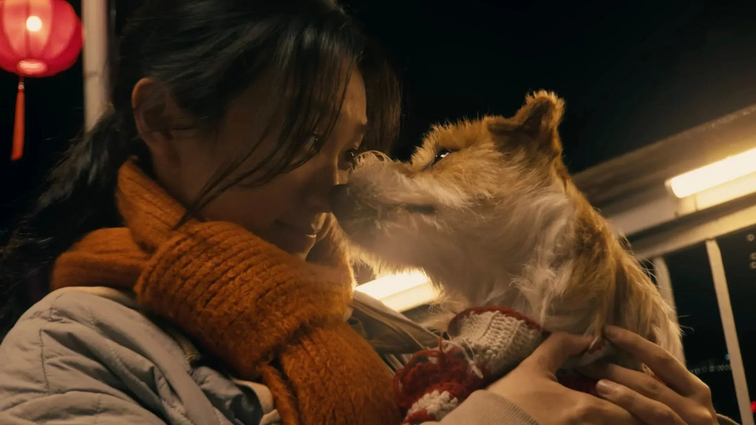 Dorazil tohtoročný krátky film k čínskemu novému roku od Applu