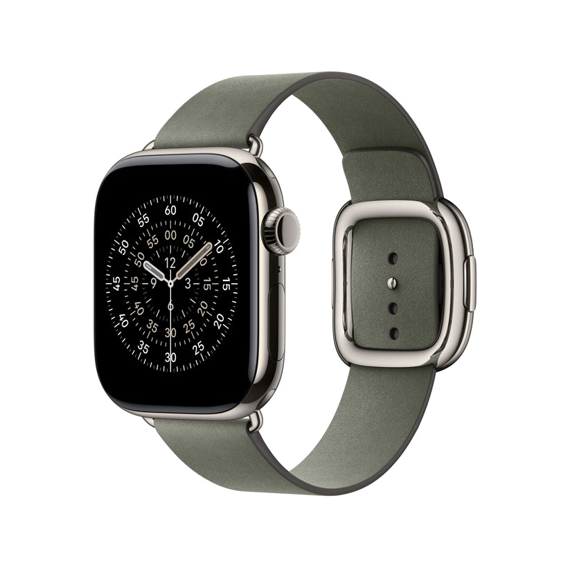 42mm Sage Grey Modern Buckle - Large - iSTYLE SK