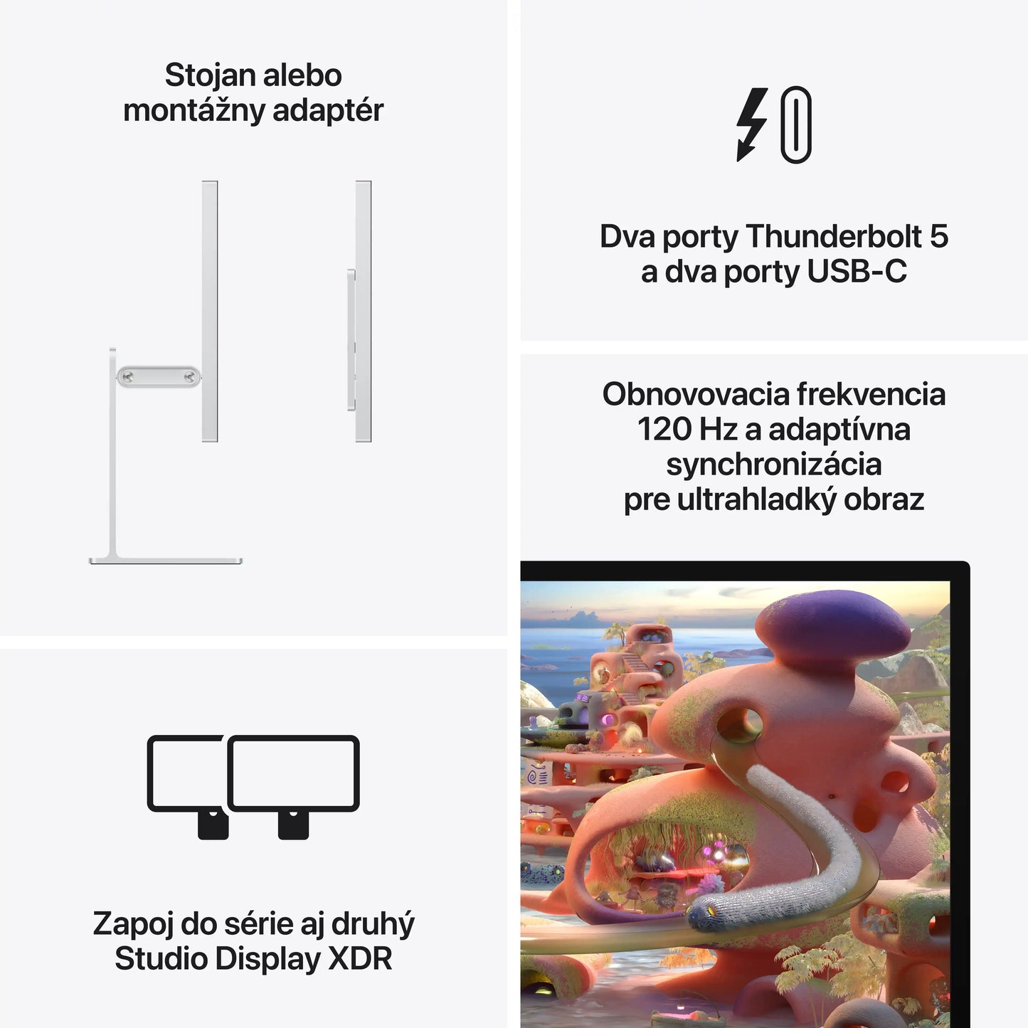 Studio Display XDR - Standard glass - Tilt- and height-adjustable stand