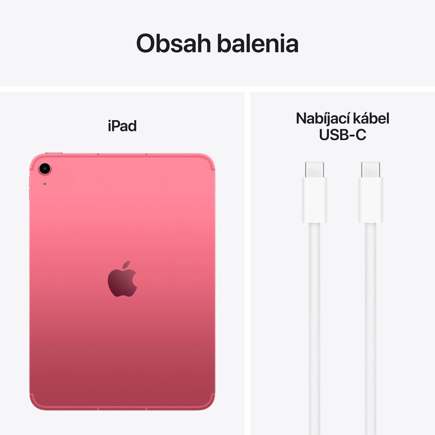 iPad Wi-Fi + Cellular 256GB - Ružová (A16)