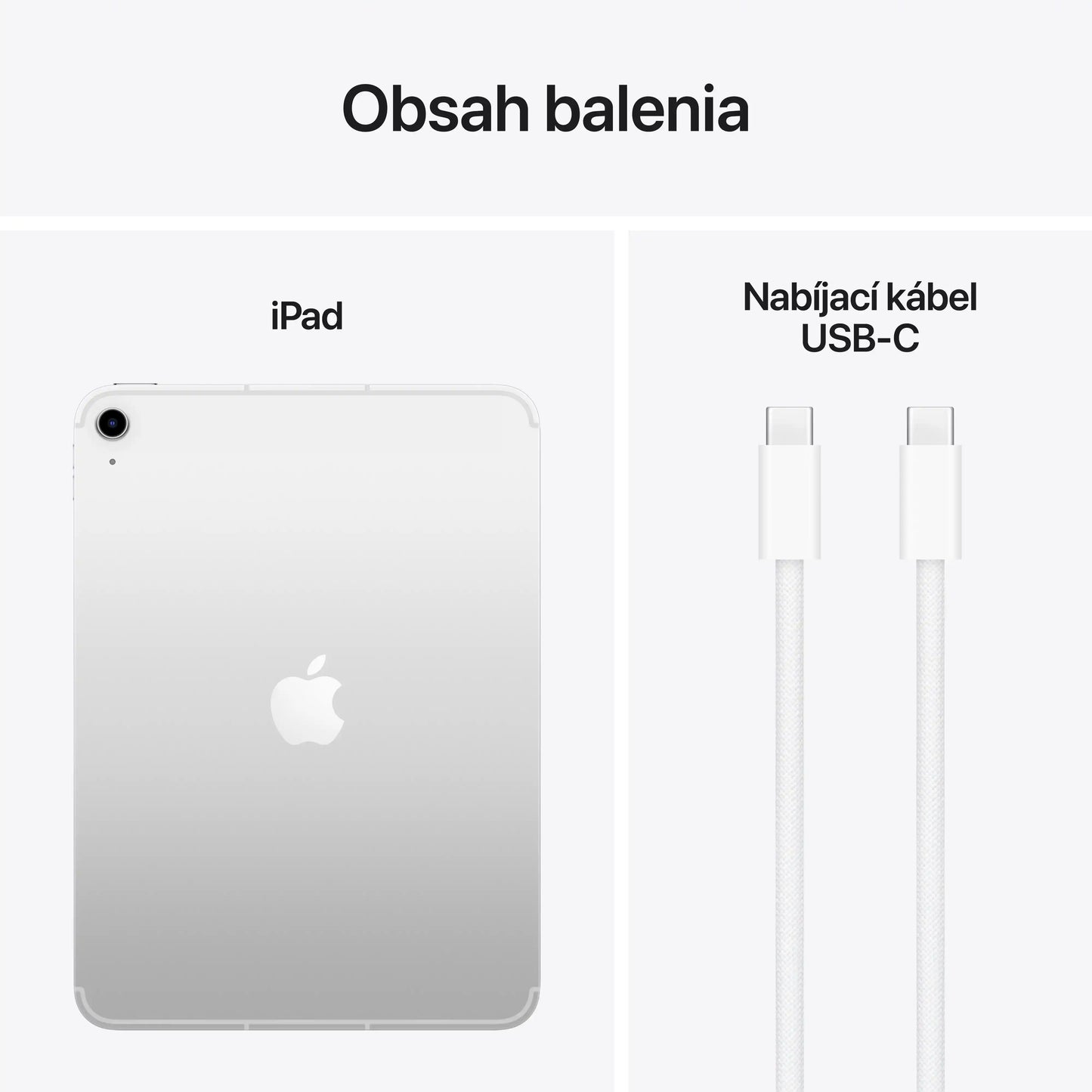 iPad Wi-Fi + Cellular 512GB - Strieborná (A16)