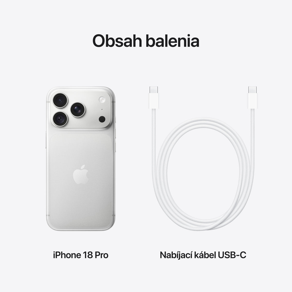 iPhone 18 Pro 1 TB strieborná