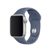 Apple Watch 40mm Band: Alaskan Blue Sport Band - S/M & M/L (Seasonal Autumn 2019)