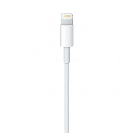 Apple Lightning to USB Cable (1 m)