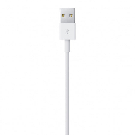 Apple Lightning to USB Cable (1 m)